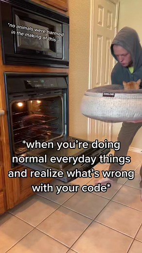 Coding cat. #coding #fyp #cat #programming