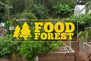 Food Forest