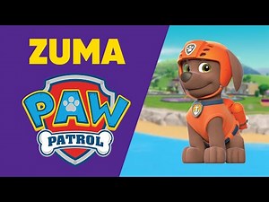 Everything You Need to Know About: Zuma from Paw Patrol #PawPatrol #Zuma