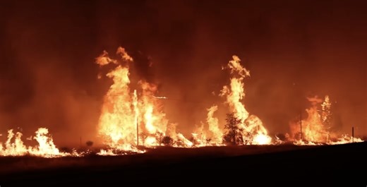 Wildfires Are Deadlier Than Ever: How FEMA Can Improve Response & Recovery