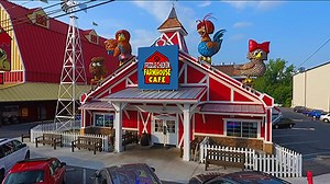 Animatronic Chicken Videos | Axtell Expressions