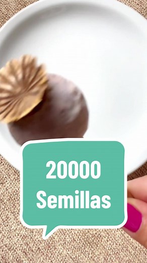 Semillas de Amapola: Abundancia y Usos
