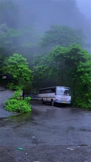 Untouched beauty of attapadi 🌿 ⛰️ #shorts #nature