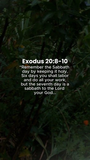 Remember the Sabbath | Sunset Reflection — Exodus 20:8–10 #sunset #sabbath