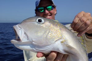 Targeting Golden Tilefish - Florida Sportsman