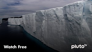 Watch Earth in 1000 Years for Free Online | Pluto TV