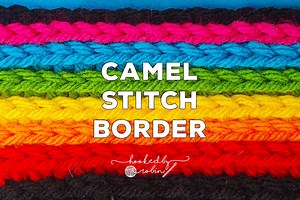 Crochet Camel Stitch Border [Free Video Tutorial & Written Pattern!] — Hooked by Robin