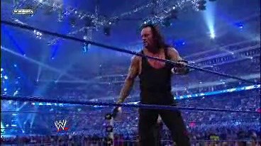 Wrestlemania 25th Anniversary