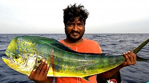 9.1M views · 65K reactions | We Caught Mahi Mahi Fish, Wahoo Fish & King Fish in the Deep Sea | Neerulagam | Facebook