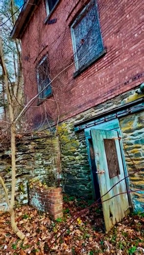 The Teal Files: The Barn Decades nailed shut. Mystery in every splinter. And yes, I fully expect you to judge me. Detective Flynn certainly will! | Author Lisa Fantino