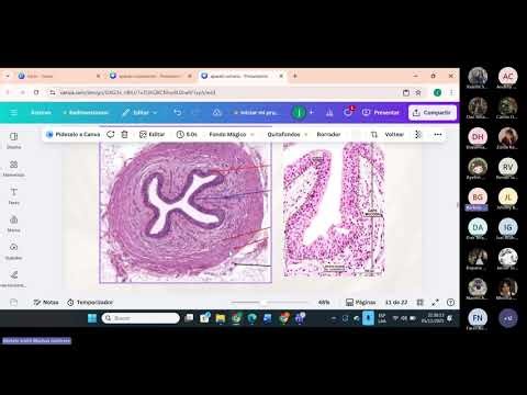 REPASO EXAMEN FINAL DE HISTOLOGIA