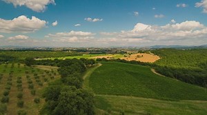 Free Countryside Videos: 4K & HD | No Watermark | Download Now