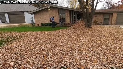 Kevin Hansen on Instagram: "Start to Finish Leaf Clean up - beautiful leaf clean up - how to get leaf jobs - leaf removal setup"