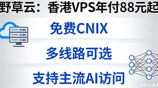🔥野草云香港 VPS 杀疯了！年付 88 元起，免费 CNIX AI 直连