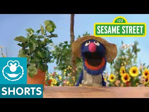 Sesame Street: Grover Talks About Plants