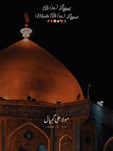 Mola Ali (as) Lajpal: Insights and Reflections