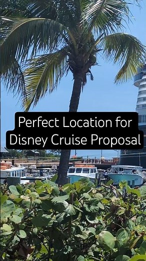 💍🚢 Secret Disney Cruise Proposal Spot #disneyfairytaleweddings