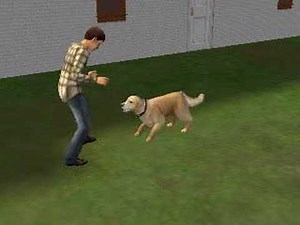 Homeward Bound Part 2