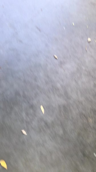 Nazarych на TikTok