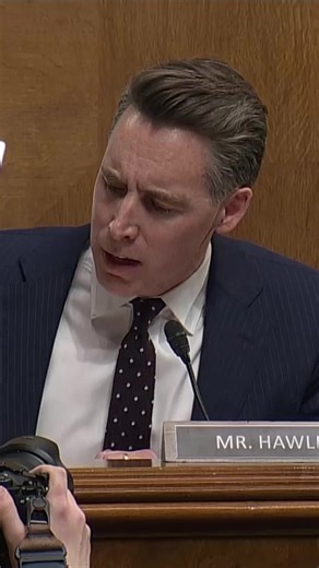 Sen. Josh Hawley (R-MO) pressed Netflix co-CEO Ted Sarandos on Tuesday about children's programming on the streaming service that he argued promotes what he called