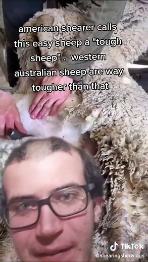 Turan Spidey on TikTok