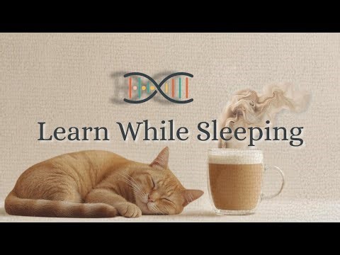 🧬 Genetics Made Simple: DNA, Chromosomes & Replication Explained for Sleep 😴📖