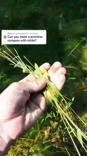 How to Make a Homemade Compass