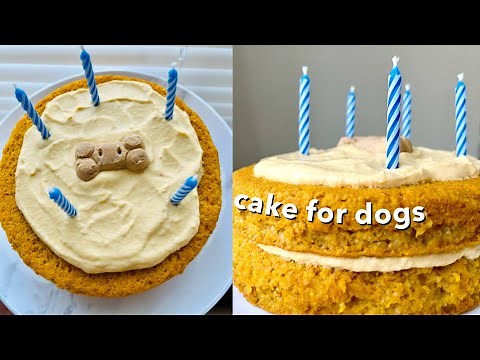Dog Birthday Cake Recipe | Pumpkin Dog Cake and Frosting | How To Make Cake for Dogs | Paola Santana