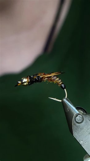 Brian Smith on Instagram: "406 Stone by @bigskybum Hook: Gamakatsu C12U size 6 Thread : TheFlySmith 52D Nylon and 12/0 traditional waxed Back and wing case: TheFlySmith Gator Back matte Dubbing: Fulling mill ultra nymph dub Legs: MFC Barred Sexi-Floss Bead: Saluda beads Resin: uv craft Tools: TheFlySmith #TheFlySmith #flytying #fly #flytyingjunkie #flytyingtutorial"