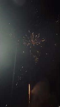 Thrilling night 100 shot firework