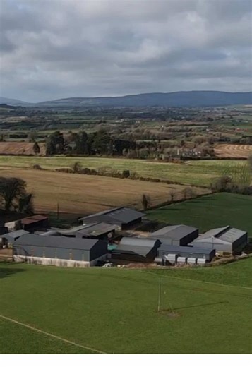 Lely Vector: Robotic Feeding for Farm Efficiency