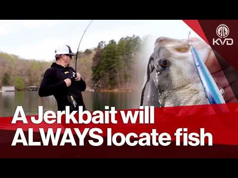 Spring Smallmouth Bass Fishing: The Prespawn Bite Is ON with a Jerkbait! - Kevin VanDam
