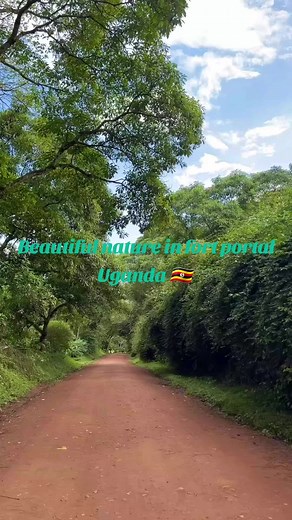 Exploring Beautiful Nature in Fort Portal, Uganda
