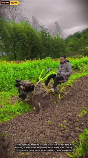 Compact Mini Tractor Tiller Machine for Efficient Small Farm Soil Cultivation