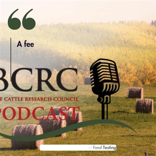Now that cattle feed has been—or is being—harvested, it’s a good time to start thinking about testing it. While a visual check can help you spot the difference between good and poor-quality feed, it won’t tell you much about energy or protein levels. Only a feed test can give you that information. 📖Read or 🎧listen to episode 83 of the Canadian Beef Cattle Podcast to learn about why feed testing matters, how to do it properly and how to make sense of lab results. ⬇️ https://www.beefresearch.ca/