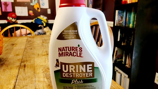 Watch Here's How To Use Nature's Miracle Urine Destroyer Plus on Amazon Live
