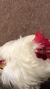 22K views · 2.7K reactions | Good Morning!! Happy Wednesday, August...