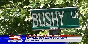 911 Call: Murder suspect claims girlfriend fell on knife at Berkeley Co. home