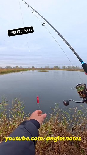 16K views · 2.7K reactions | Lepo sam rekao da je tu :). Predivna stuka od 8kg i 100cm. #anglernotes #stuka #pecanjestuke #varalicarenjestuke #varalicarenje #pecanje #ribolov #dunav #varalica #pikefishing #pike #hecht #щука #спиннинг #angeln #spinnfischen #raubfisch #angling #gädda #catchandrelease #predatorfishing #relaxenjoygetabite #slapshad #zoneshad #relaxenjoygetabite #щуканаспининг #щукамонстр | Angler Notes | Facebook