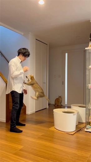 ロケットダイブ