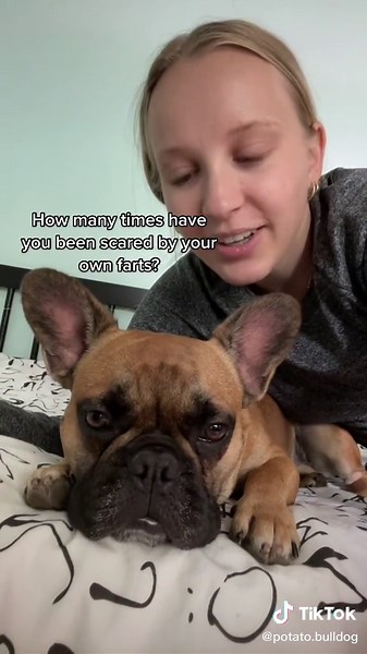 Funny French Bulldog Reacts to Scary Farts