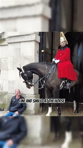 The King's Guard Horse's Silent Tribute to a Wounded Soldier 🇬🇧❤️