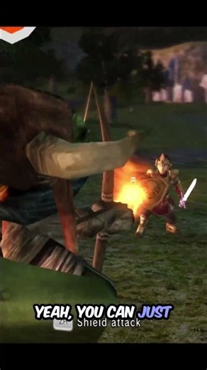 The Magic Armor Makes Wooden Shields Immune To Fire In Zelda: Twilight Princess