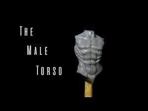 Sculpting a male torso