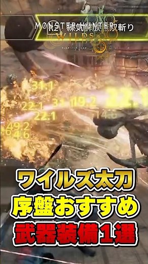 【モンハンワイルズ】太刀の序盤からラスボスまで使えるおすすめ武器装備紹介 #モンハンワイルズ #MHWs