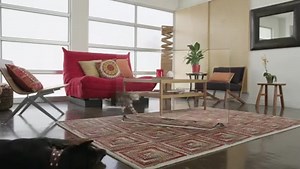 77K views · 1.1K reactions | Ultra HD 4K vs Real Life! ;) | LG Global | Facebook