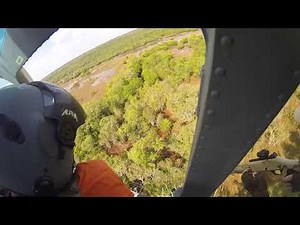 Feral pig control - how aerial shooting is most of the time