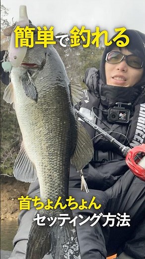 Big bait techniques in the middle of winter! High catch rate of big bass!