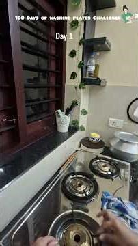 DAY 1: The 100-Day Plate Washing Challenge BEGINS.