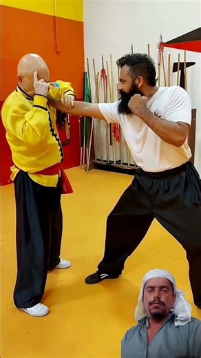 Kung fu selfdefense #sifuthai #bujinkan #martialarts #wushufight #wushu #selfdefense #shaolin #mma